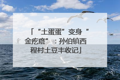 “土蛋蛋”变身“金疙瘩”：孙伯镇西程村土豆丰收记